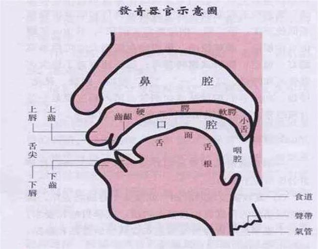 小孩發音不清楚的原因是什么？